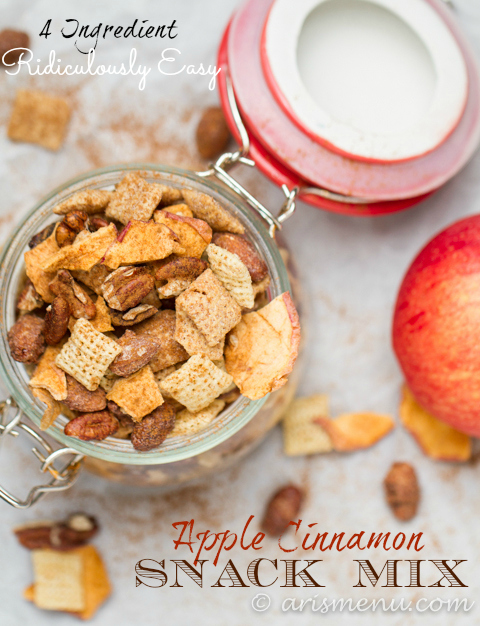 4 Ingredient, Ridiculously Easy Apple Cinnamon Snack Mix