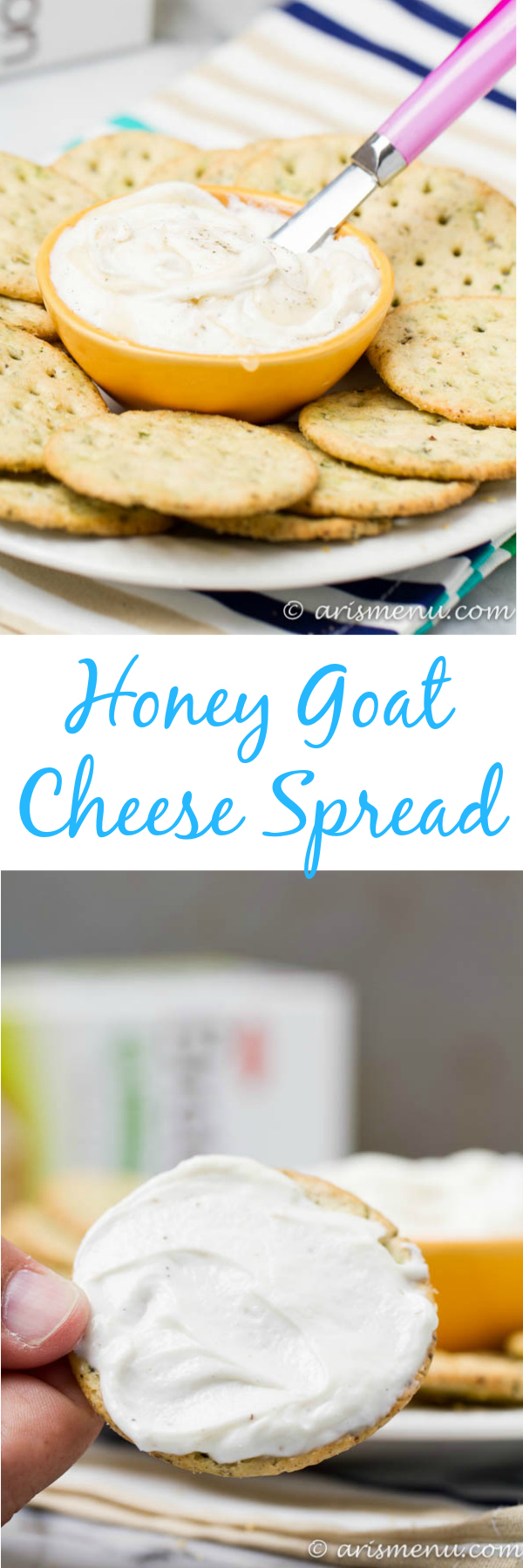 Honey Goat Cheese Spread: Smooth, creamy, sweet and tangy--the perfect spread to jazz up your crackers!