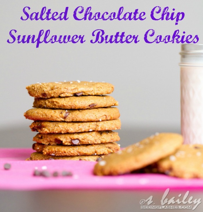 Salted Chocolate Chip Sunflower Butter Cookies Ari's Menu