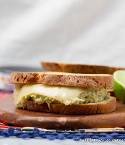 Southwest Tuna Melt: Take your regular sandwich to the next level with this bold, spicy and healthy southwest tuna melt!