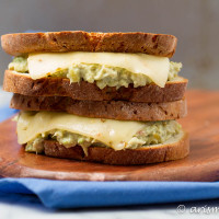 Southwest Tuna Melt: Take your regular sandwich to the next level with this bold, spicy and healthy southwest tuna melt!